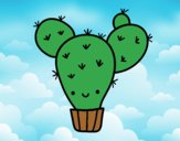 Cactus nopal