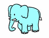 Elefante bebe