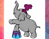 Elefante