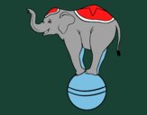 Elefante equilibrista