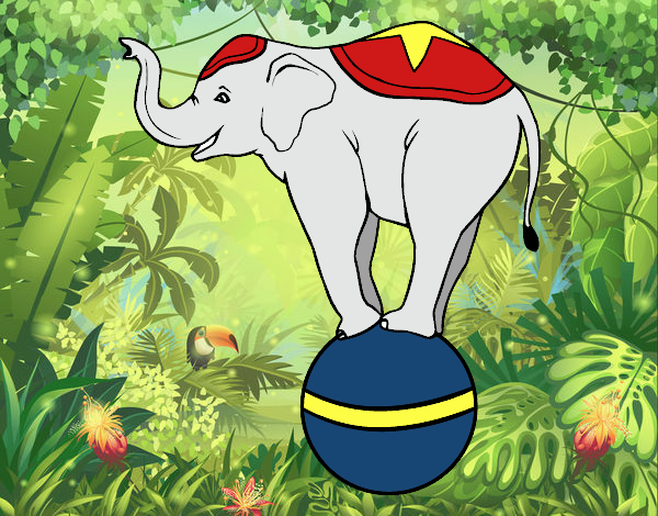 Elefante equilibrista