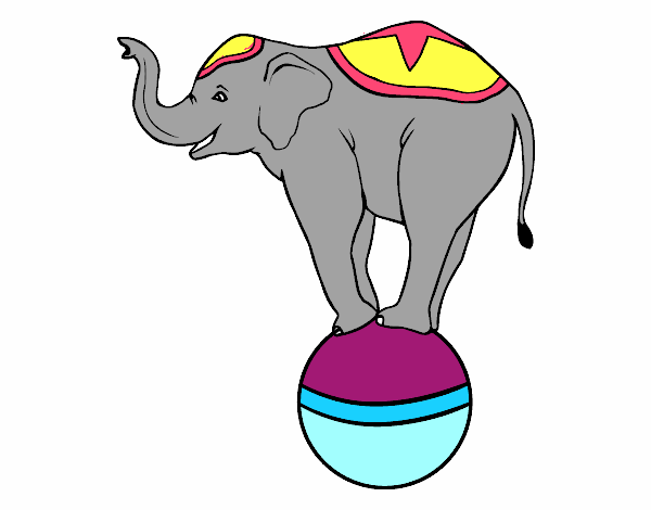 Elefante equilibrista