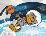 Gatito astronauta