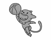 Gato jugando a baloncesto