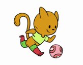 Gato jugando a fútbol