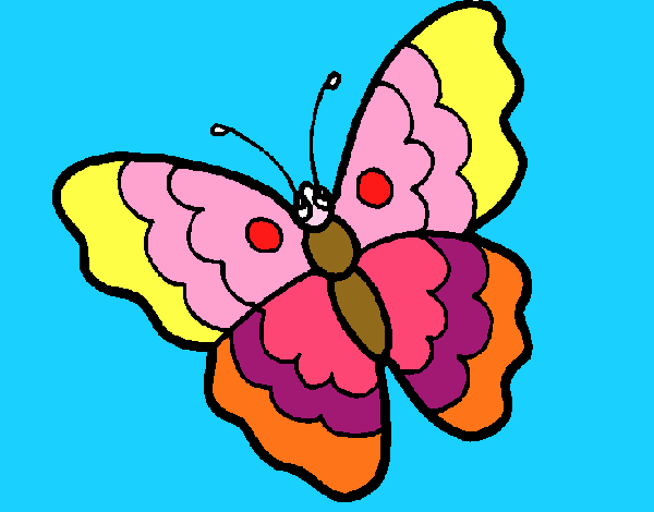 Mariposa 13