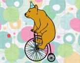 Oso en bicicleta