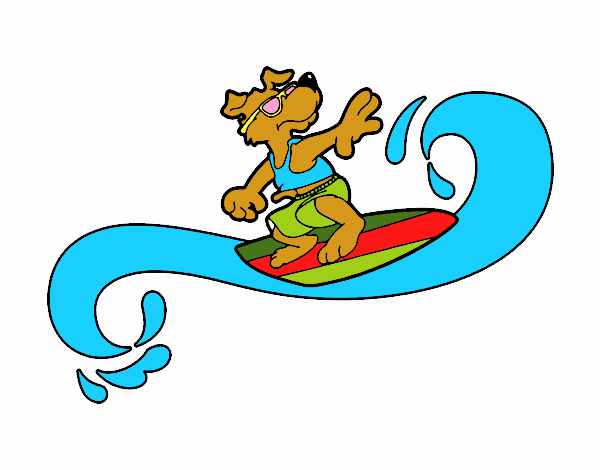 Perro surfeando