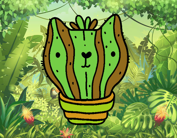 Cactus gato