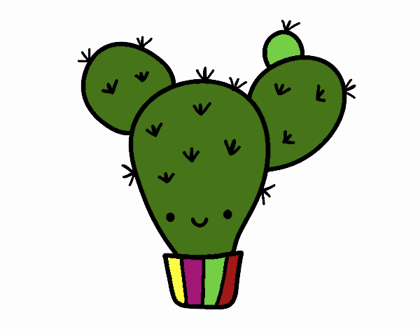 Cactus nopal