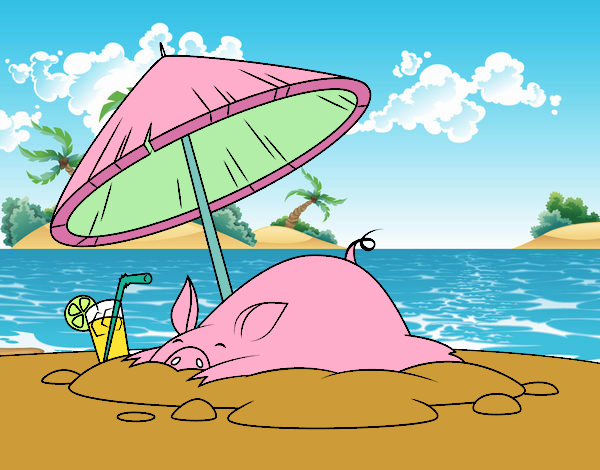 Cerdito en la playa