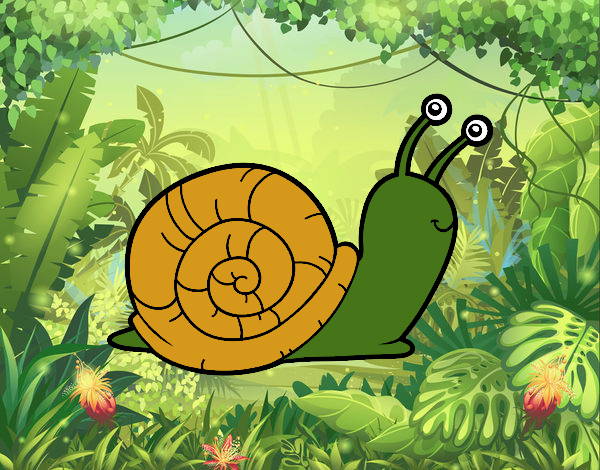 El caracol