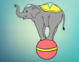 Elefante equilibrista