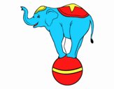 Elefante equilibrista