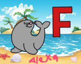 F de Foca