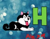 H de Husky