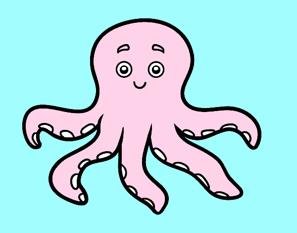 pulpo