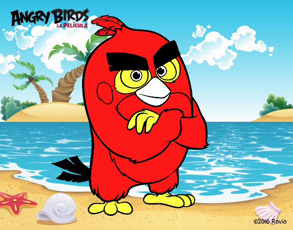 Red de Angry Birds