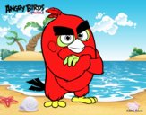 Red de Angry Birds