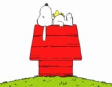 Snoopy durmiendo