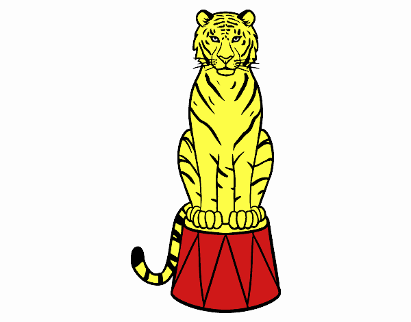 Tigre de circo