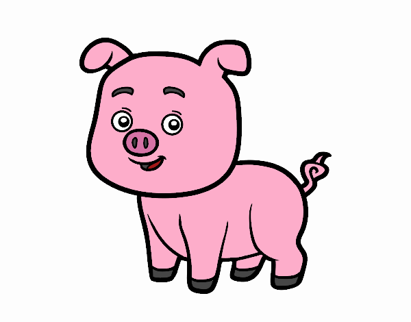 Un cerdito