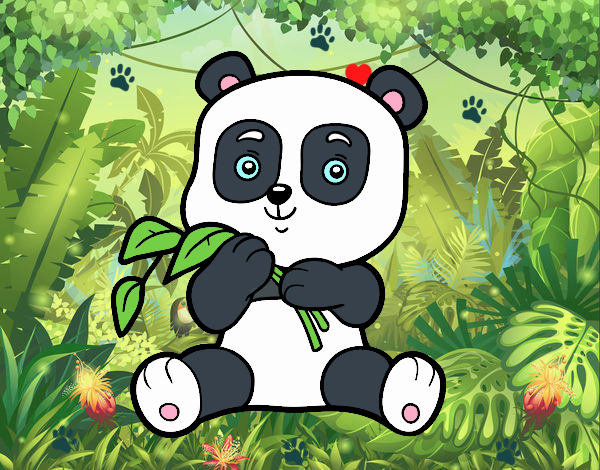 Un oso panda