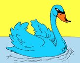 Cisne en el agua