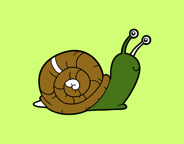 El caracol