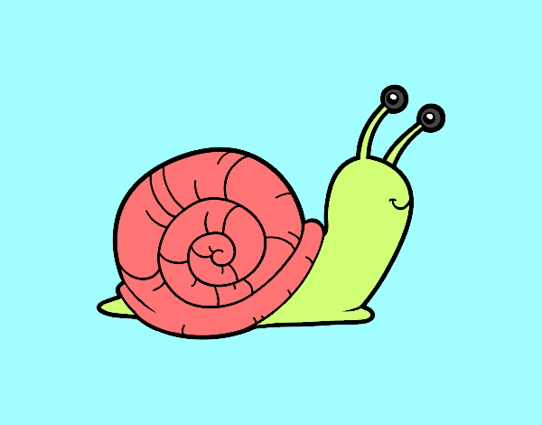 El caracol