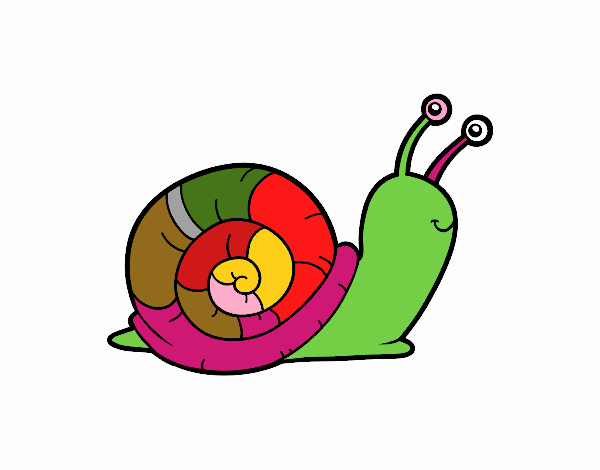 El caracol