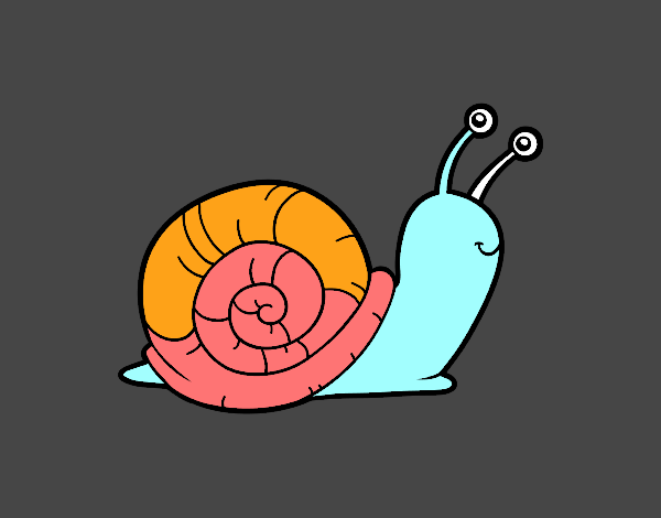 El caracol