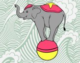 Elefante equilibrista