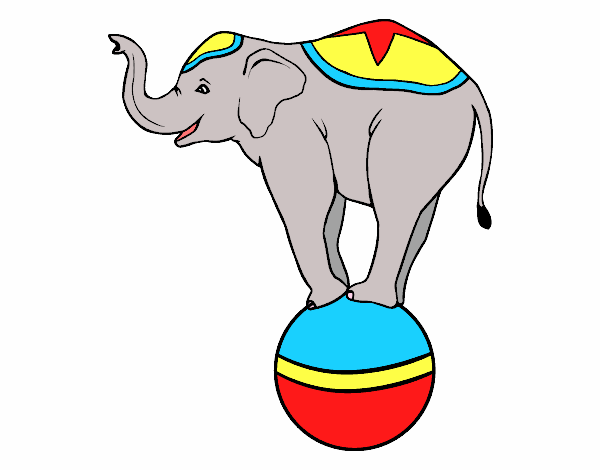 Elefante equilibrista