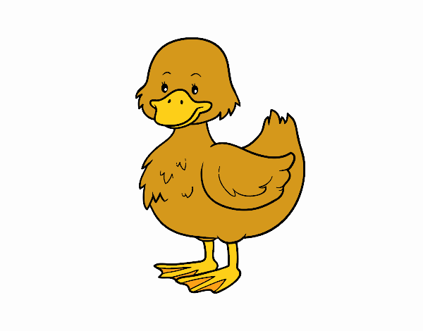 Patito de granja