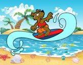 Perro surfeando