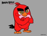 Red de Angry Birds