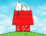 Snoopy durmiendo