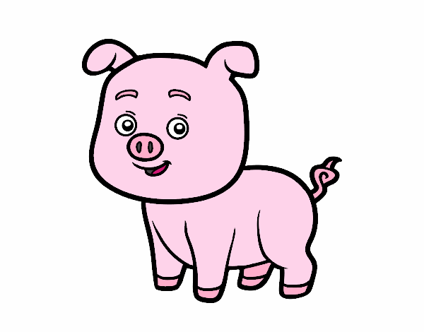 Un cerdito