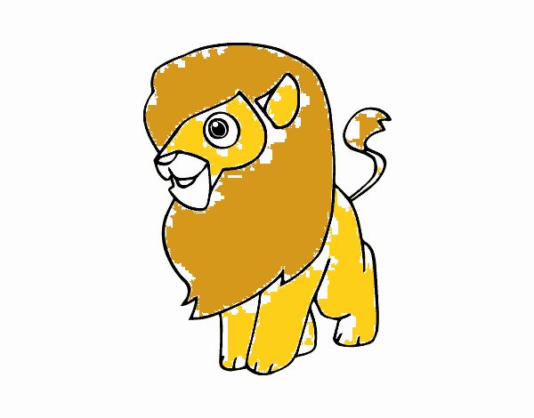 Un león