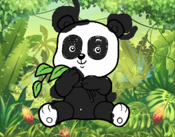 Un oso panda