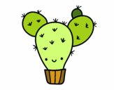 Cactus nopal