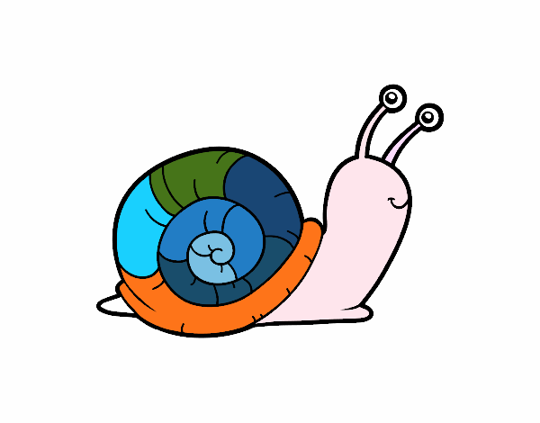 caracol