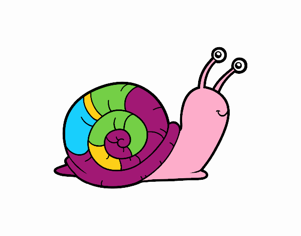 El caracol