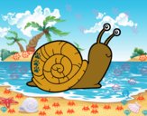 El caracol