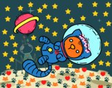 Gatito astronauta