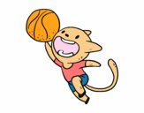 Gato jugando a baloncesto