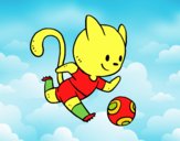 Gato jugando a fútbol