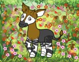 Okapi