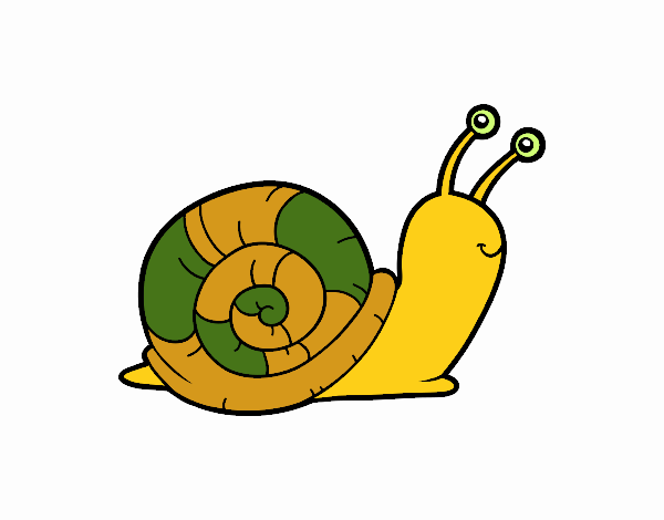 Un caracol